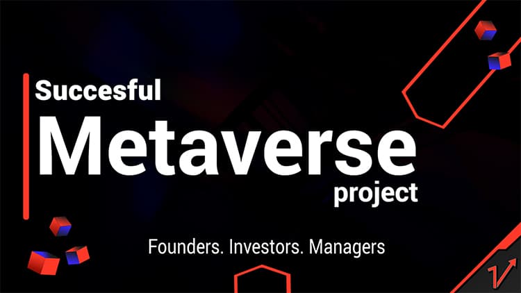 Successful Metaverse project